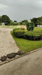 Lorong K Telok Kurau (D15), Terrace #501377541